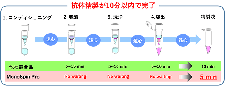 抗体精製が10分以内で完了の図