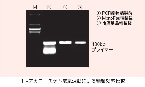 1%アガロースゲル電気泳動による精製効率比較の図