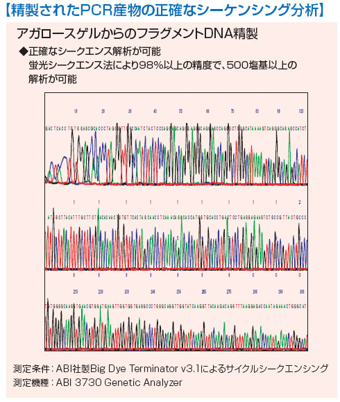 精製されたPCR産物の正確なシーケンシング分析の図