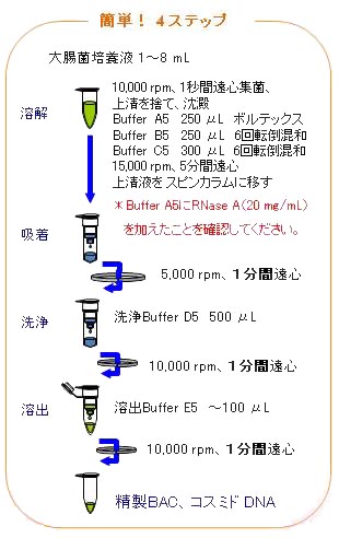 MonoFas BAC抽出キットの図