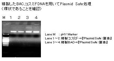 環状の確認の図