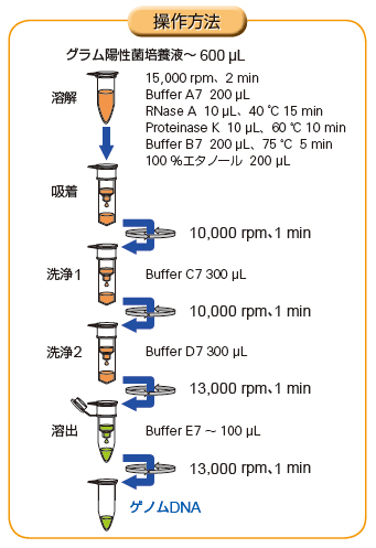 Monofas バクテリアゲノムdna抽出キット Dna精製 抽出キット ジーエルサイエンス