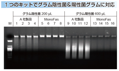 MonoFas バクテリアゲノムDNA 抽出キットVIIの図