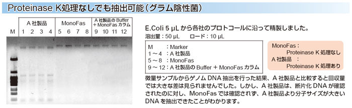 MonoFas バクテリアゲノムDNA 抽出キットVIIの図