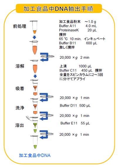 DNA抽出手順の図