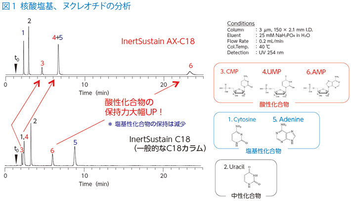 図1 核酸塩基、ヌクレオチドの分析