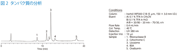 図 2 タンパク質の分析
