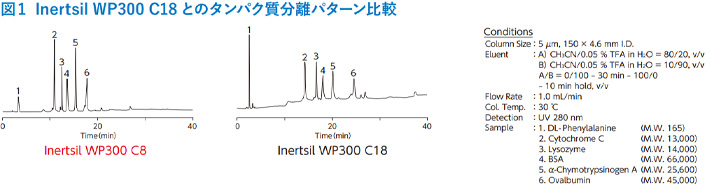 図1 Inertsil WP300 C18 とのタンパク質分離パターン比較