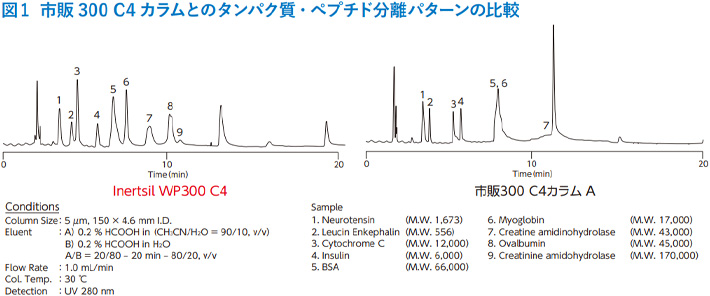 図1　市販 300 C4 カラムとのタンパク質・ペプチド分離パターンの比較