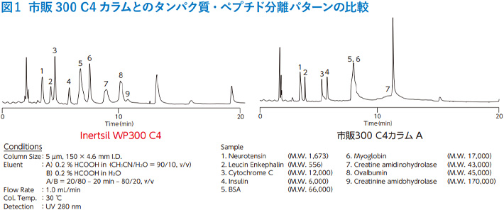 図1 市販 300 C4 カラムとのタンパク質・ペプチド分離パターンの比較