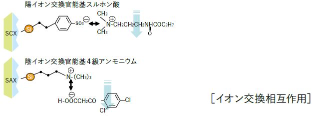 ［イオン交換相互作用］