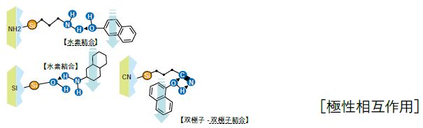 極性相互作用