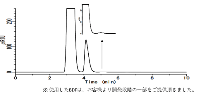 BDFの分析例