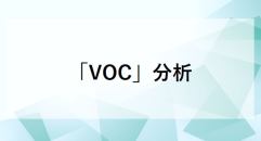 「VOC」分析