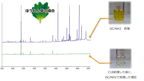 ほうれん草抽出液(農薬未添加)をInertSep GC/NH2でクリーンアップカラムした液と、InertSep C18とInertSep GC/NH2でクリーンアップした液の比較図