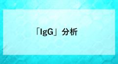 「IgG」分析