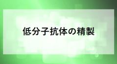 低分子抗体の精製