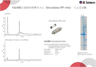 学会発表資料の画像