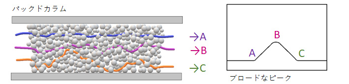 パックドカラムの構造とブロードなピークの画像