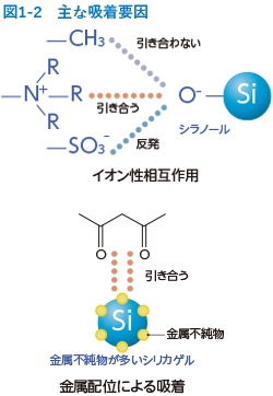 図1-2　主な吸着要因